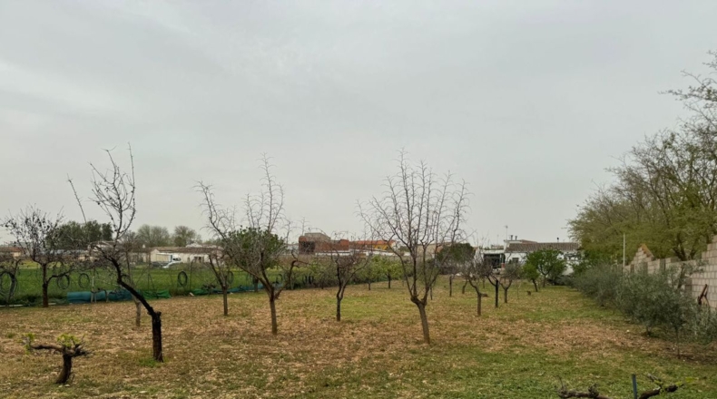 Ciudad Real - Valdepeñas - 3214m2