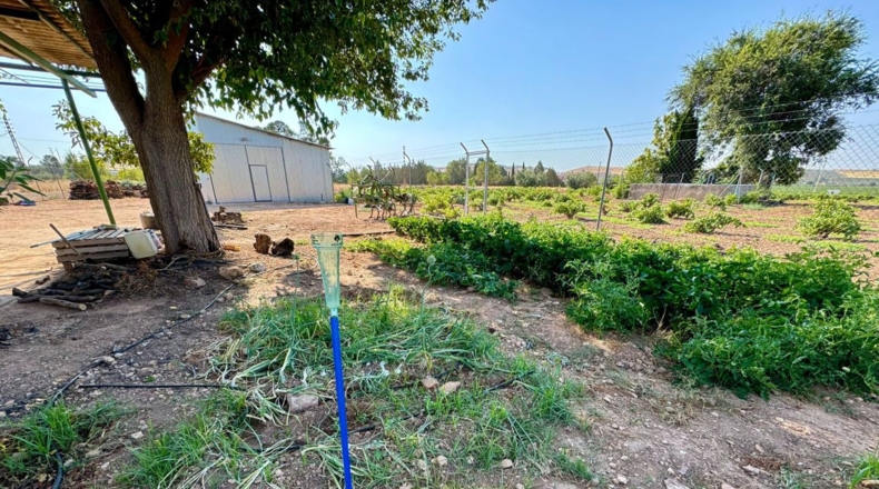 Ciudad Real - Valdepeñas - 6558m2