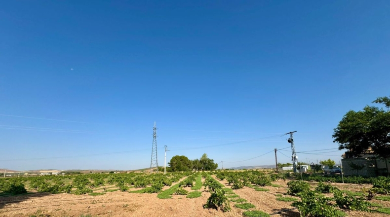 Ciudad Real - Valdepeñas - 6558m2