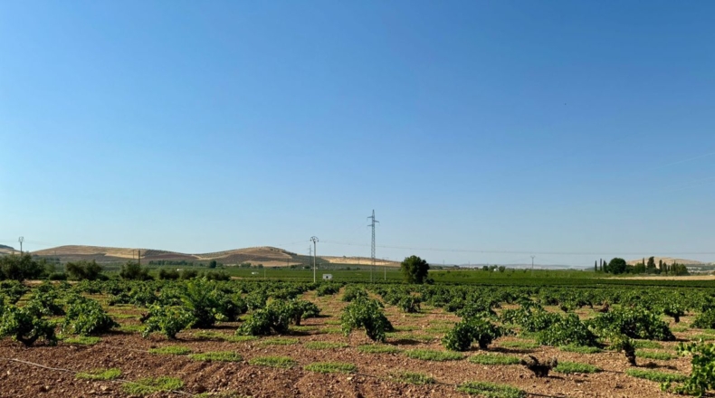 Ciudad Real - Valdepeñas - 6558m2