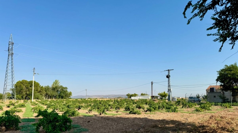 Ciudad Real - Valdepeñas - 6558m2
