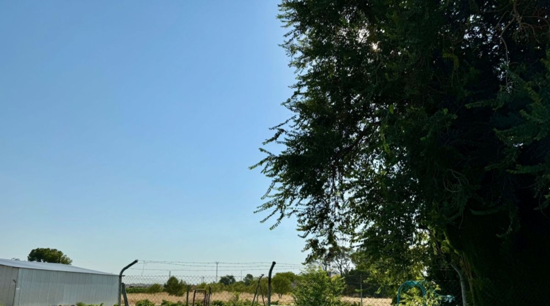 Ciudad Real - Valdepeñas - 6558m2