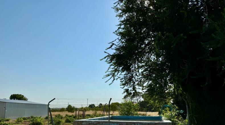 Ciudad Real - Valdepeñas - 6558m2