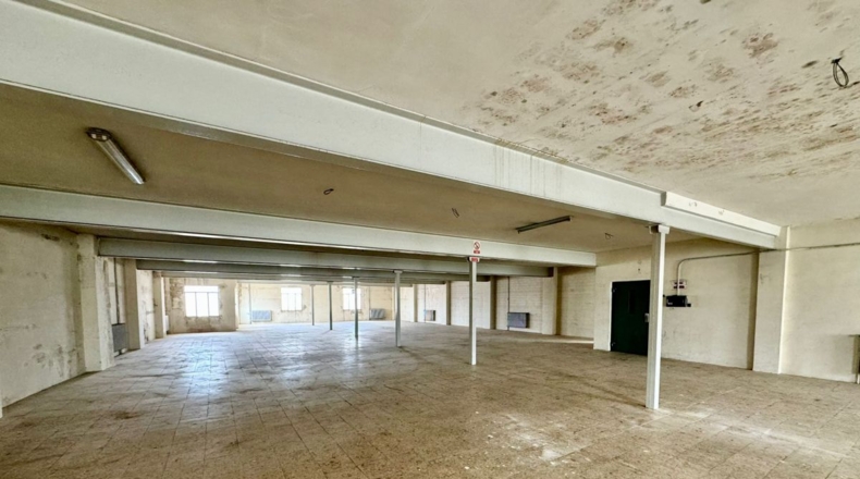 Ciudad Real - Valdepeñas - 681m2