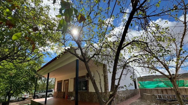 Ciudad Real - Santa Cruz de Mudela - 7858m2