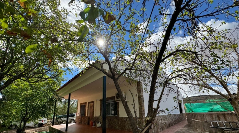 Ciudad Real - Santa Cruz de Mudela - 7858m2