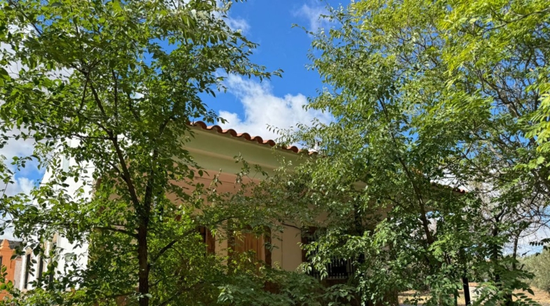 Ciudad Real - Santa Cruz de Mudela - 7858m2