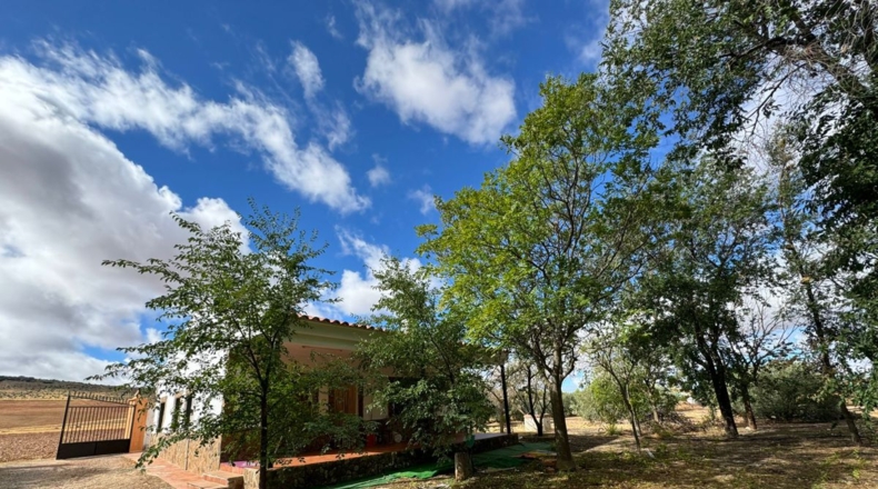 Ciudad Real - Santa Cruz de Mudela - 7858m2
