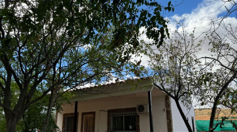 Ciudad Real - Santa Cruz de Mudela - 7858m2