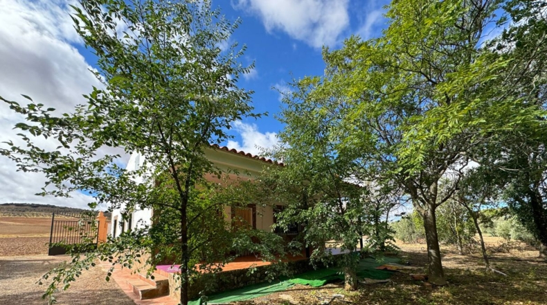 Ciudad Real - Santa Cruz de Mudela - 7858m2