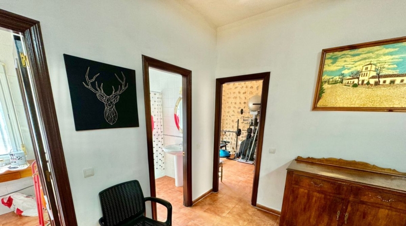 Ciudad Real - Santa Cruz de Mudela - 7858m2