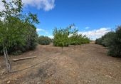 Finca rústica en venda a Santa Cruz de Mudela ref.: TR111274 foto