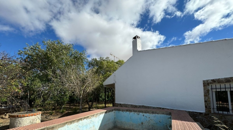 Ciudad Real - Santa Cruz de Mudela - 7858m2