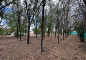Finca rústica en venda a Santa Cruz de Mudela ref.: TR111274 foto