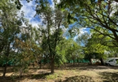 Finca rústica en venda a Santa Cruz de Mudela ref.: TR111274 foto