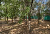 Finca rústica en venda a Santa Cruz de Mudela ref.: TR111274 foto