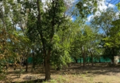 Finca rústica en venda a Santa Cruz de Mudela ref.: TR111274 foto