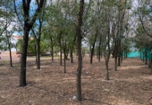 Finca rústica en venda a Santa Cruz de Mudela ref.: TR111274 foto