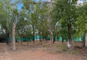 Finca rústica en venda a Santa Cruz de Mudela ref.: TR111274 foto