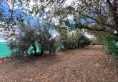 Finca rústica en venda a Santa Cruz de Mudela ref.: TR111274 foto