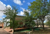 Finca rústica en venda a Santa Cruz de Mudela ref.: TR111274 foto