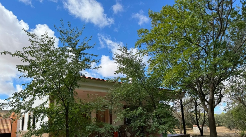 Ciudad Real - Santa Cruz de Mudela - 7858m2