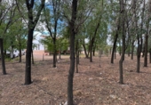 Finca rústica en venda a Santa Cruz de Mudela ref.: TR111274 foto