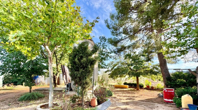 Ciudad Real - Torrenueva - 14774m2