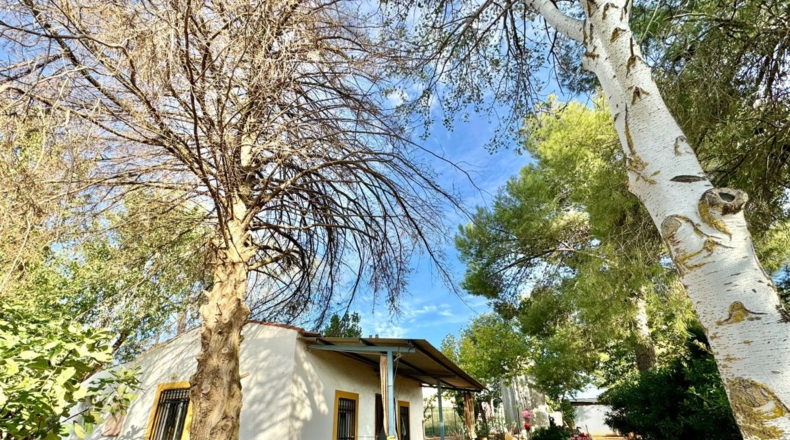 Ciudad Real - Torrenueva - 14774m2