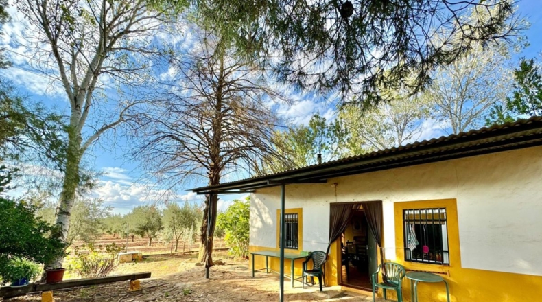 Ciudad Real - Torrenueva - 14774m2