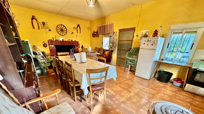 Ciudad Real - Torrenueva - 14774m2
