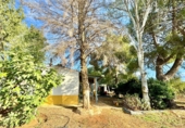 Finca rústica en venda a Valdepeñas ref.: TR183103 foto
