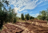 Finca rústica en venda a Valdepeñas ref.: TR183103 foto