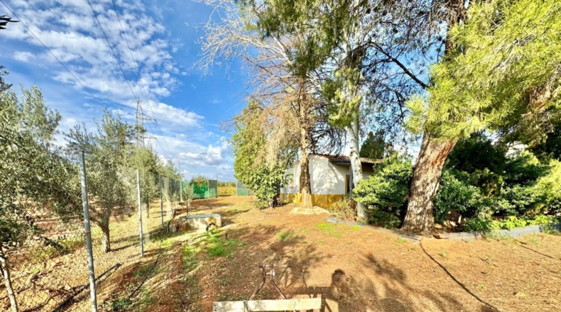Ciudad Real - Torrenueva - 14774m2