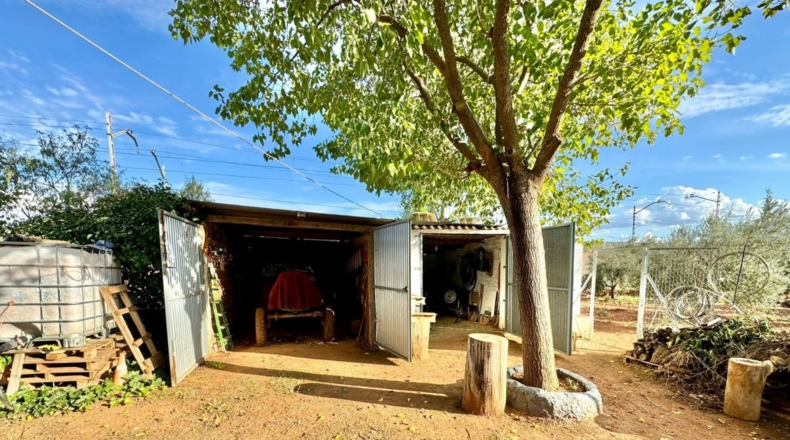Ciudad Real - Torrenueva - 14774m2