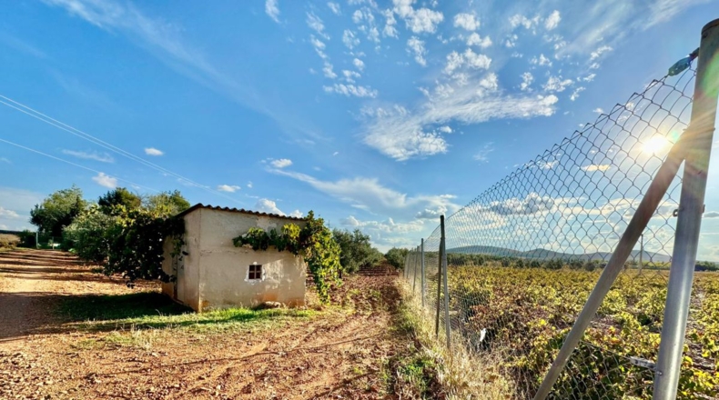 Ciudad Real - Torrenueva - 14774m2