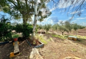Finca rústica en venda a Valdepeñas ref.: TR183103 foto