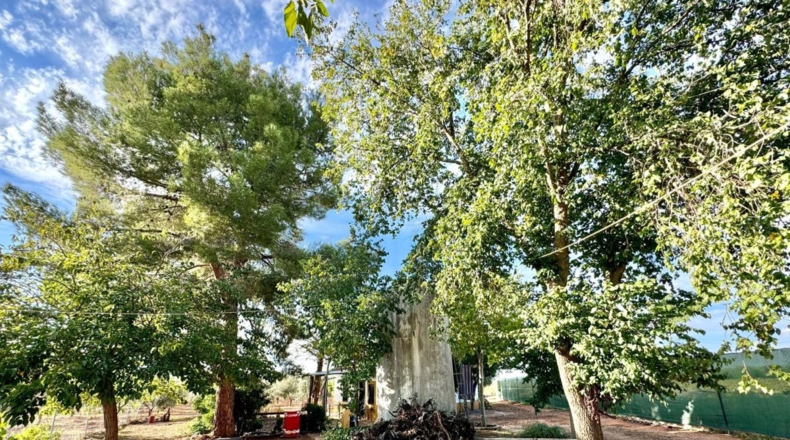 Ciudad Real - Torrenueva - 14774m2