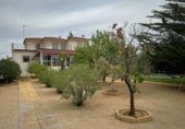 Xalet independent amb terreny en venda a Valdepeñas ref.: TR183100 foto