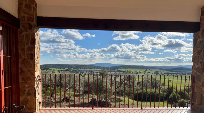 Ciudad Real - Almuradiel - 40000m2