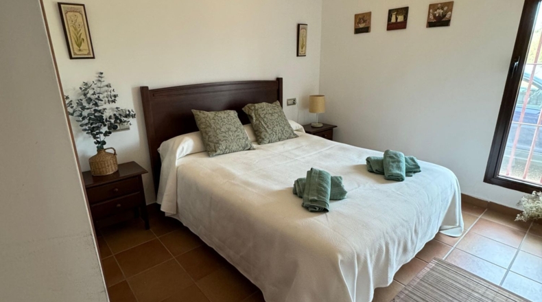 Ciudad Real - Almuradiel - 40000m2