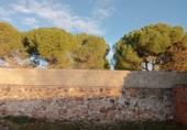 Xalet independent amb terreny en venda a la España, Viso del Marqués, ref.: TR307834 foto