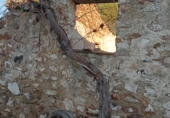 Xalet independent amb terreny en venda a la España, Viso del Marqués, ref.: TR307834 foto