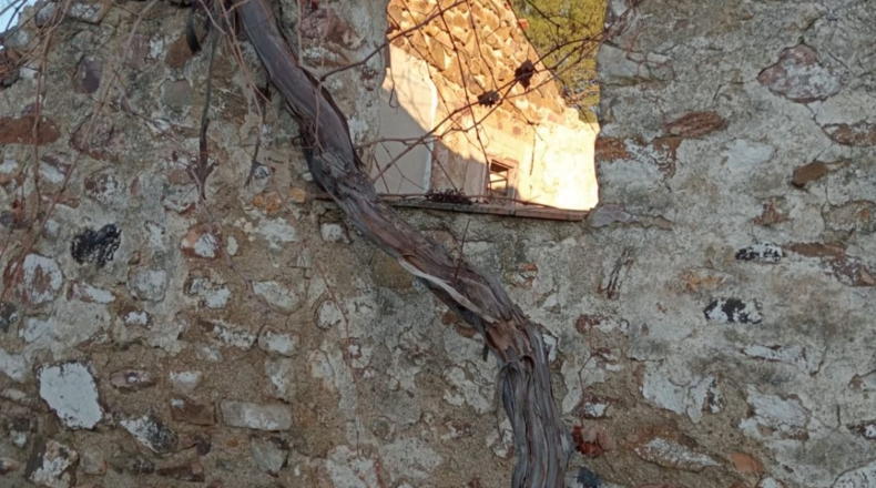 Ciudad Real - Viso del Marqués - 756m2