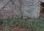 Xalet independent amb terreny en venda a la España, Viso del Marqués, ref.: TR307834 foto