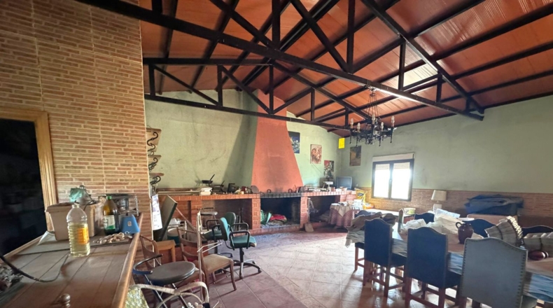 Ciudad Real - Valdepeñas - 43465m2