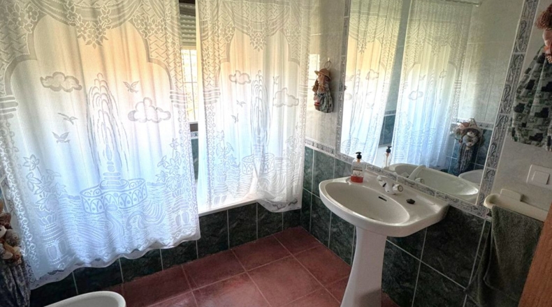 Ciudad Real - Valdepeñas - 43465m2