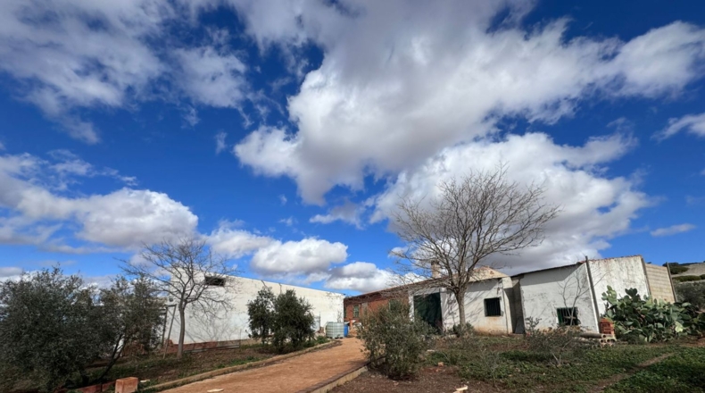 Ciudad Real - Valdepeñas - 43465m2