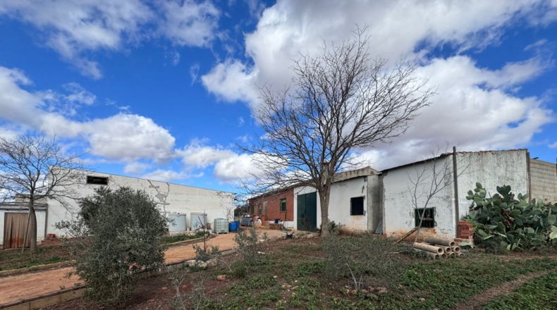 Ciudad Real - Valdepeñas - 43465m2