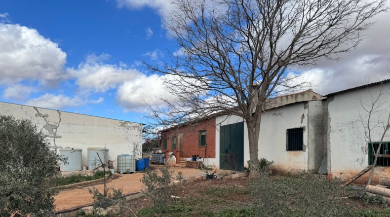 Ciudad Real - Valdepeñas - 43465m2
